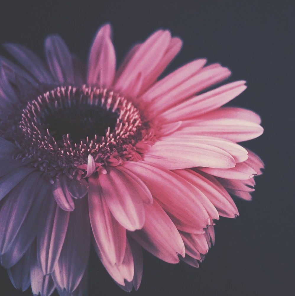 Meet your Posher, Leighann